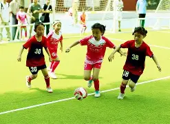 九游娱乐在线 -柔道赛场再起风云：粤西鲨队队险胜东城独角兽队，赛场气氛火爆黑马成最大惊喜的简单介绍
