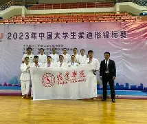 柔道赛场再起风云：粤西鲨队队险胜东城独角兽队，赛场气氛火爆黑马成最大惊喜的简单介绍