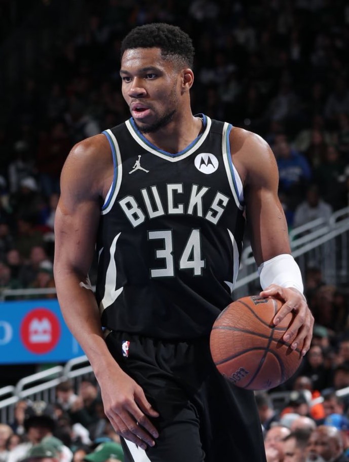 包含密尔沃基雄鹿训练开放日，今夜主帅复盘引欢呼，欧篮联在即，纪律约束更严格的词条